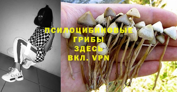 стаф Балабаново
