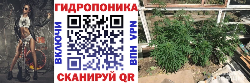 Шишки марихуана MAZAR  Армавир 
